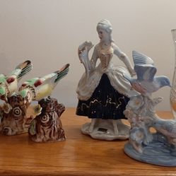 Various decorative Birds