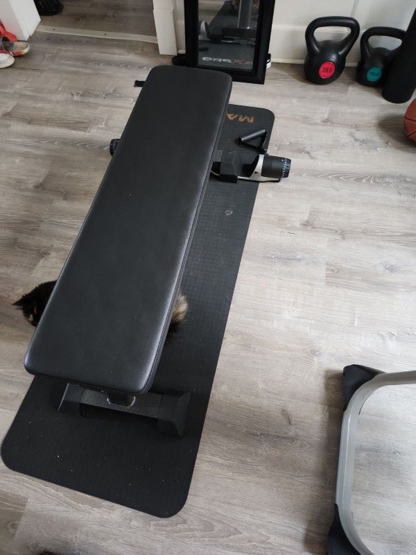 Pro Max Workout