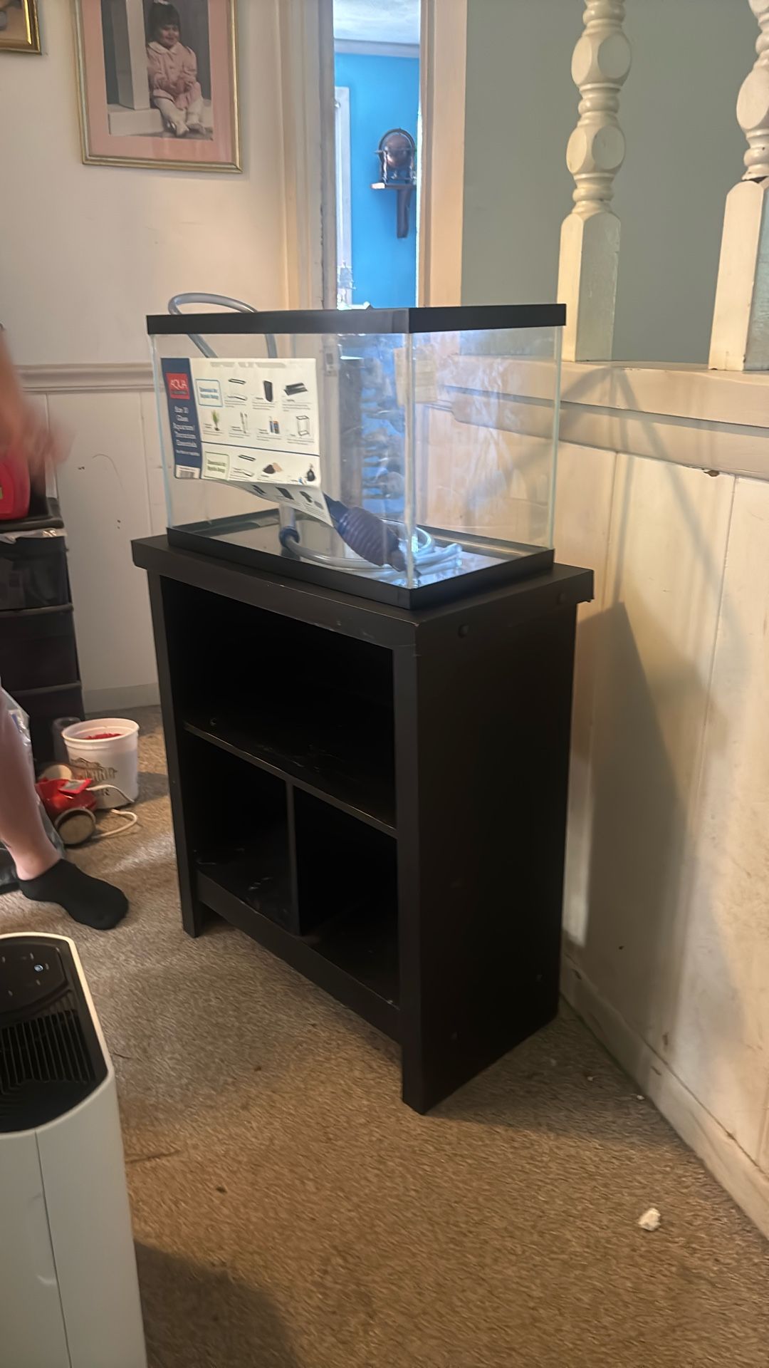 Fish Tank And Stand