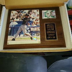 Arizona Diamondbacks Louise Gonzalez Baseball Plaque
