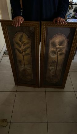 Twin frames 20$