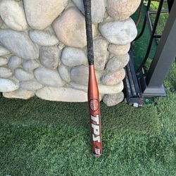Bat 