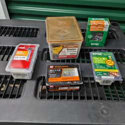 Assorted Screws And Red Head Sleeve Anchors