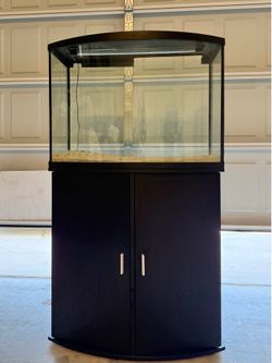 36 gal bow front aquarium and stand