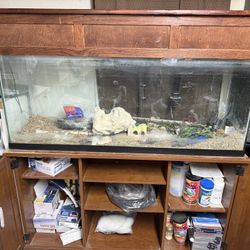 55 Gallon Fish Tank
