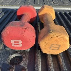 8LB Dumbbells 
