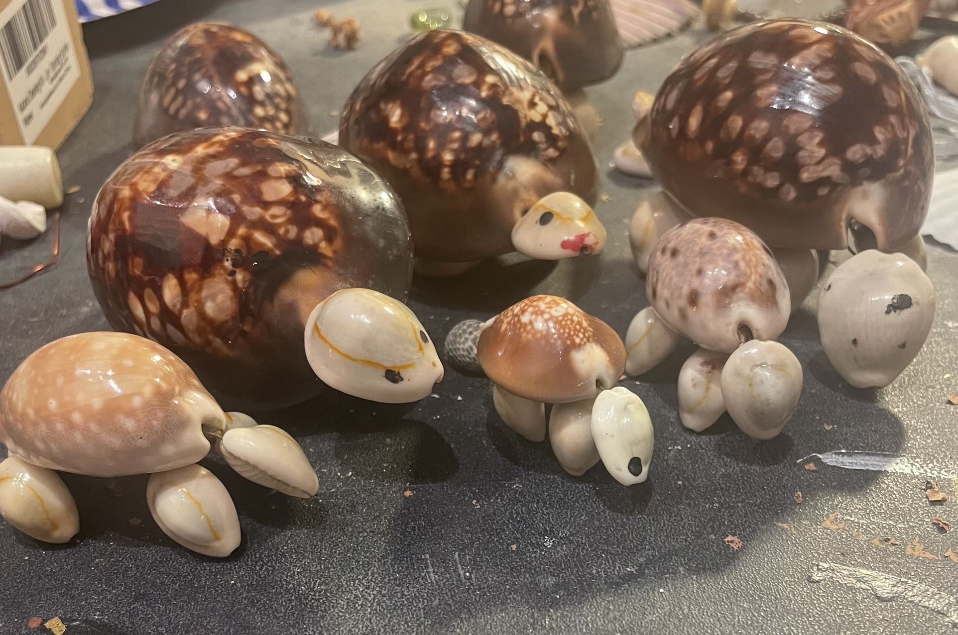 Vintage Cowrie Shells Artistically Made Into Turtles