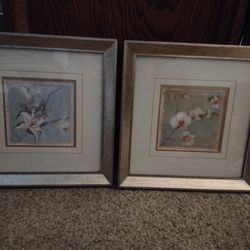 Framed Floral Pictures 