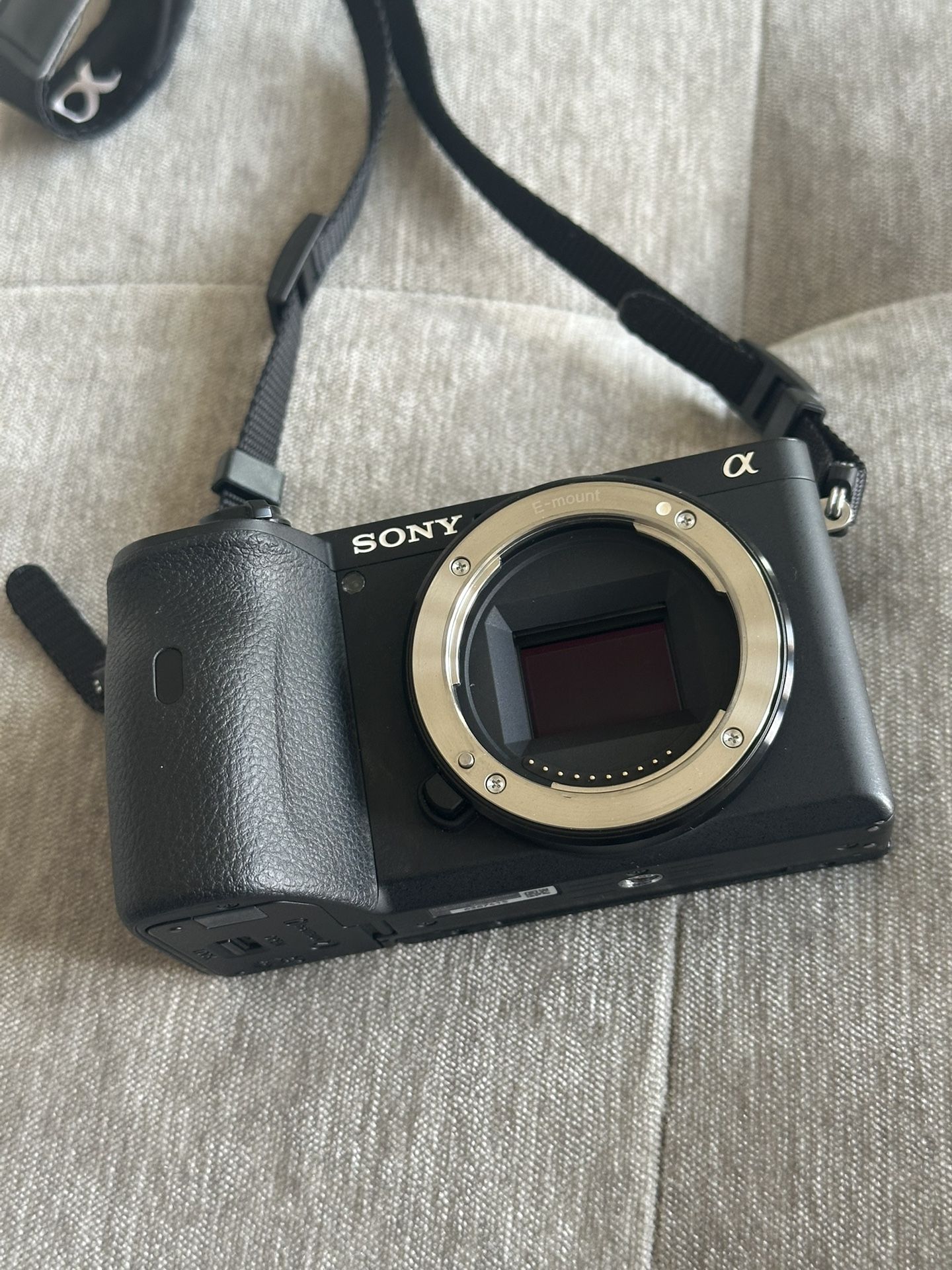 Sony A6600