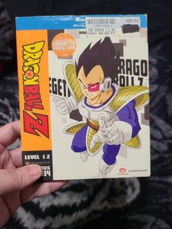 Dragon Ball Z Level 1.2