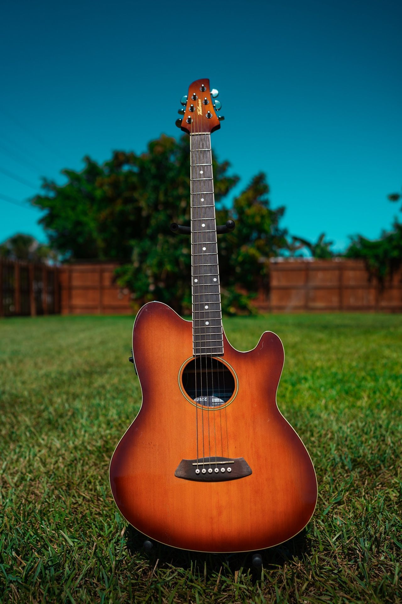 Ibanez Talman Electric-Acoustic Guitar