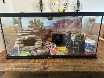 40 Gallon Zoo Med Reptile Terrarium Complete Setup