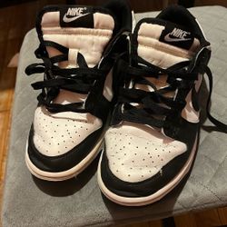 Used Nike Dunks Kids 