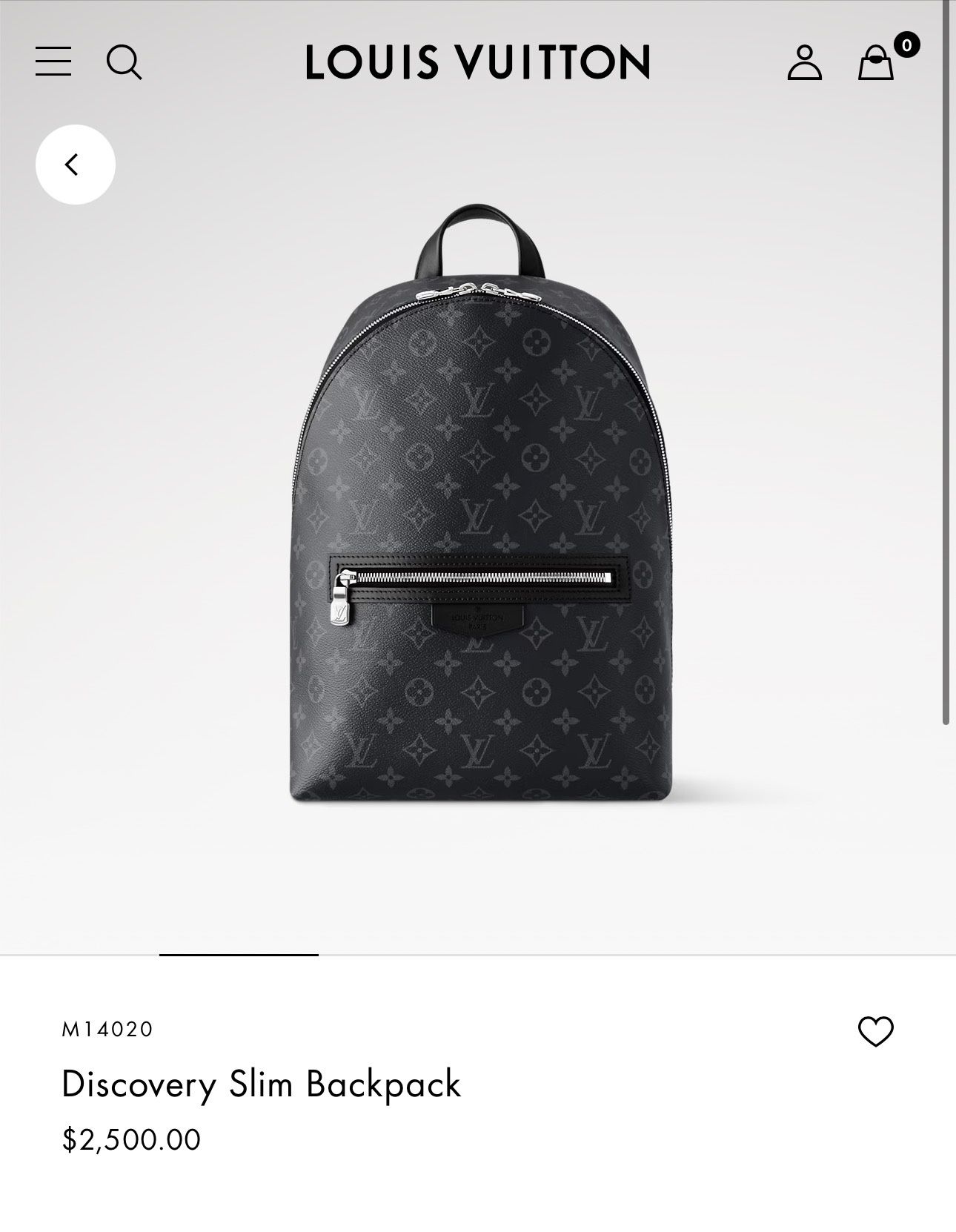 Designer Backpack