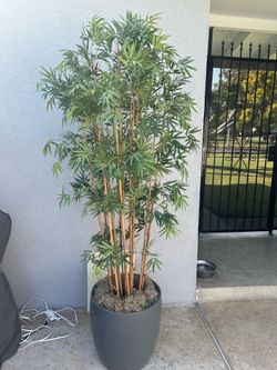 Artificial  bamboo Tree