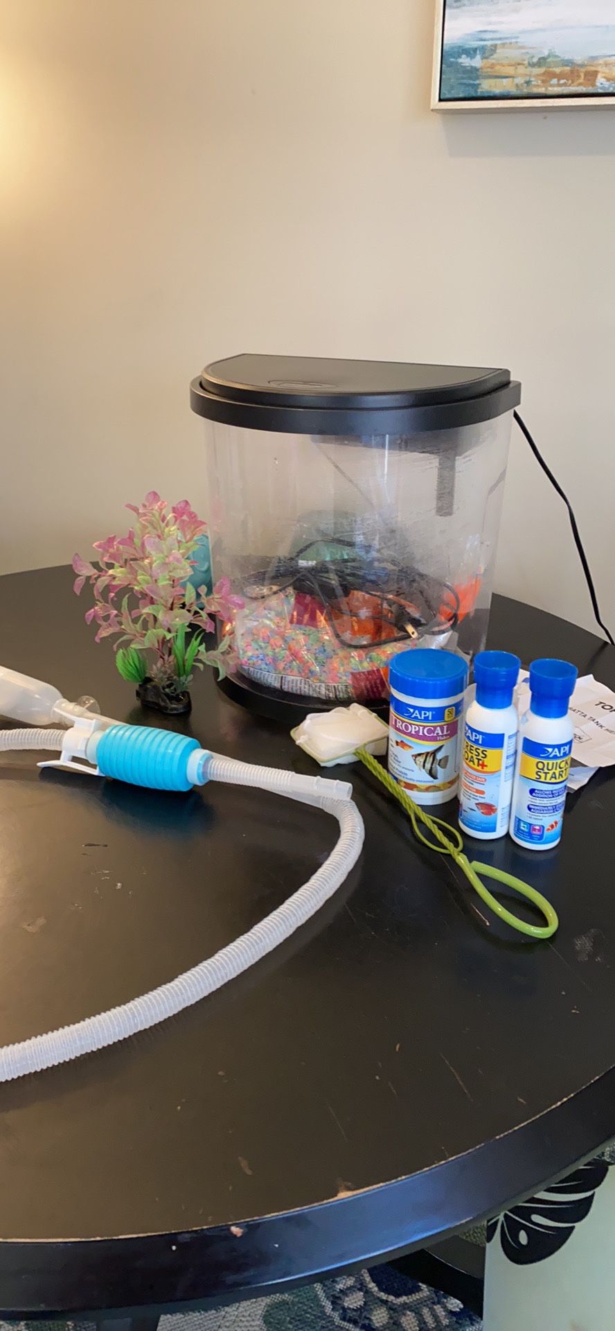 5 Gal fish tank and supplies