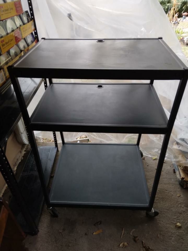 Rolling Storage /Tv Shelf