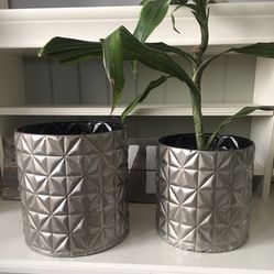 Silver Metal Geometric Plant Holder / Container Can