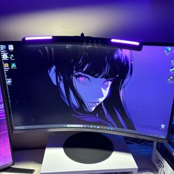 2 Computer Monitors 