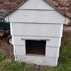 Large Lumber And Siding Dog House