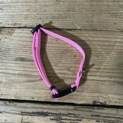 Pink Dog Collar