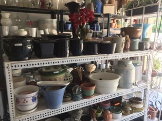 Pottery, Ceramic and personal Collection of Plant Pots
