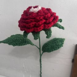 Handmade crochet flowers, crochet bouquets, crochet roses, forever flowers, crochet carnation, crochet tulip