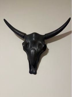 Black cow skull