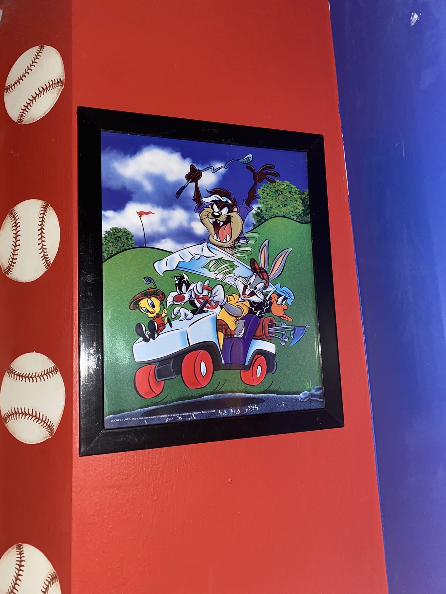 Looney Tunes Picture