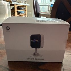 Indoor Camera 