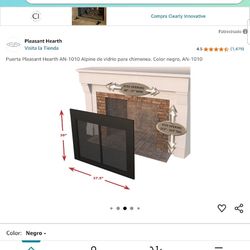 Fireplace door