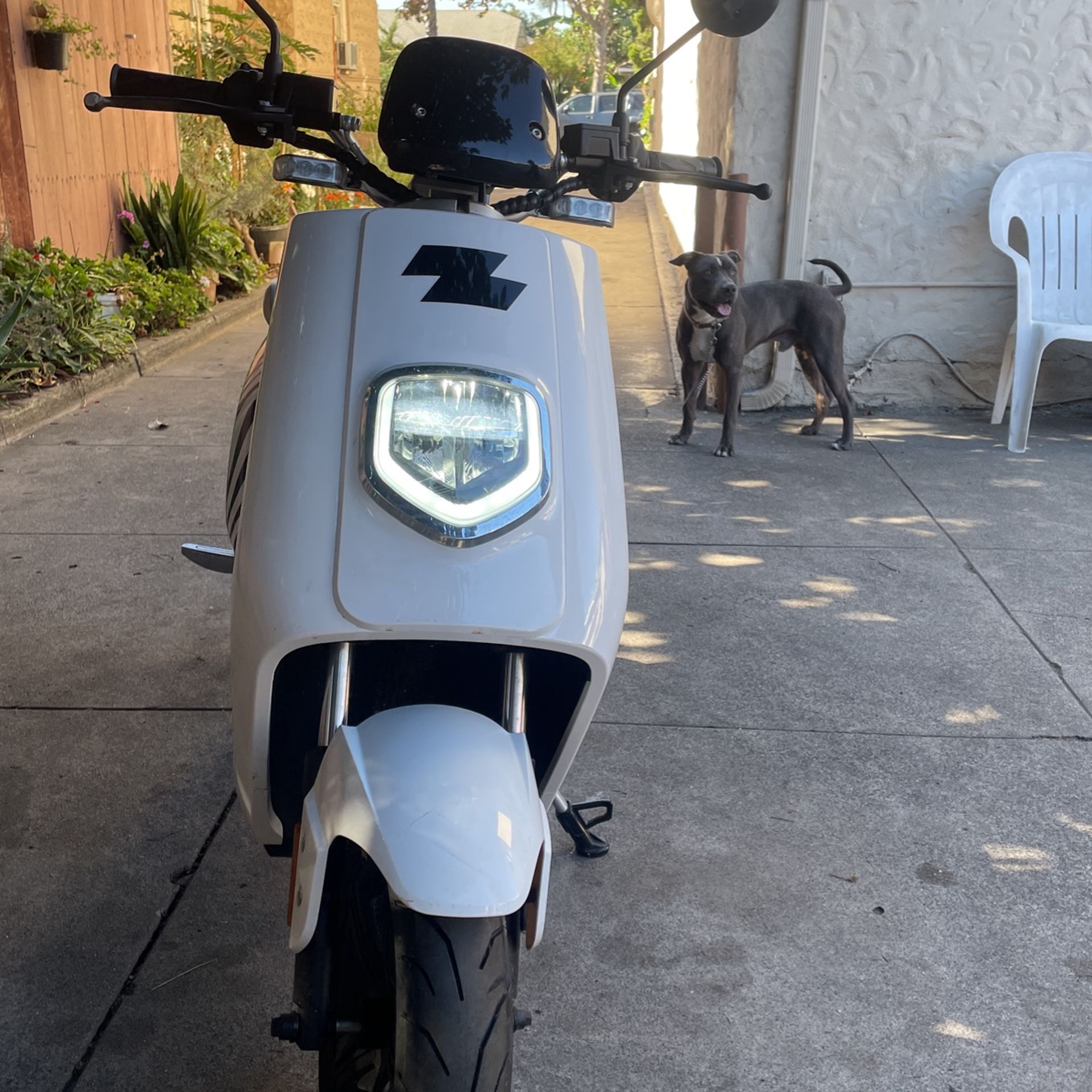 ZEBRA SCOOTER 2022 (motoneta Eléctrica )