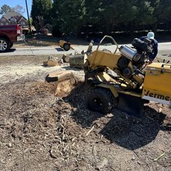 Stump Grinding 