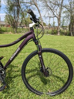 Specialized ariel hydraulic disc 2021 sale