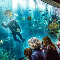 Date Day At The Aquarium Of The Pacific