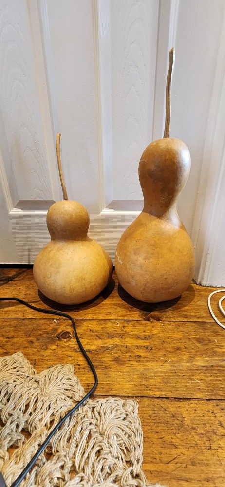 Dried Bottle Gourds