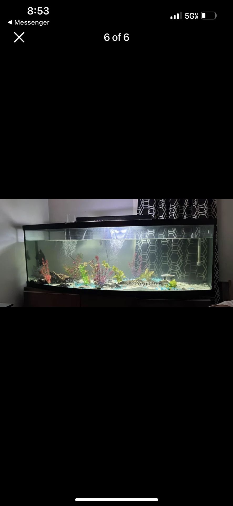 200 Gallons Fish Tank