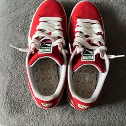 Pumas 