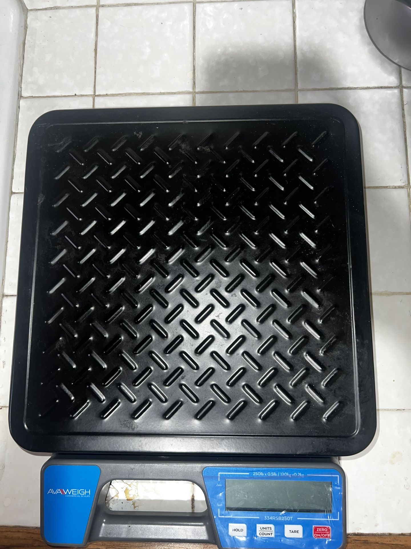 Commercial Kitchen Scale 
