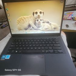 Asus Epertbook 15" Screen
