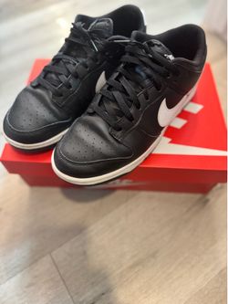 Nike Dunks (Sz 10.5)