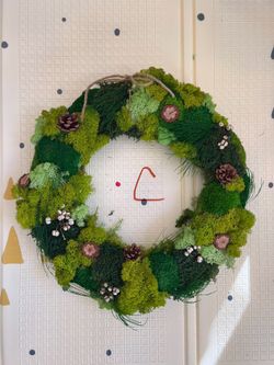 16” Preserved Moss Christmas Wall Art