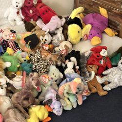 Lot Of Beanie Babies,buddies &teenies And  There  Platinum Club Cards 