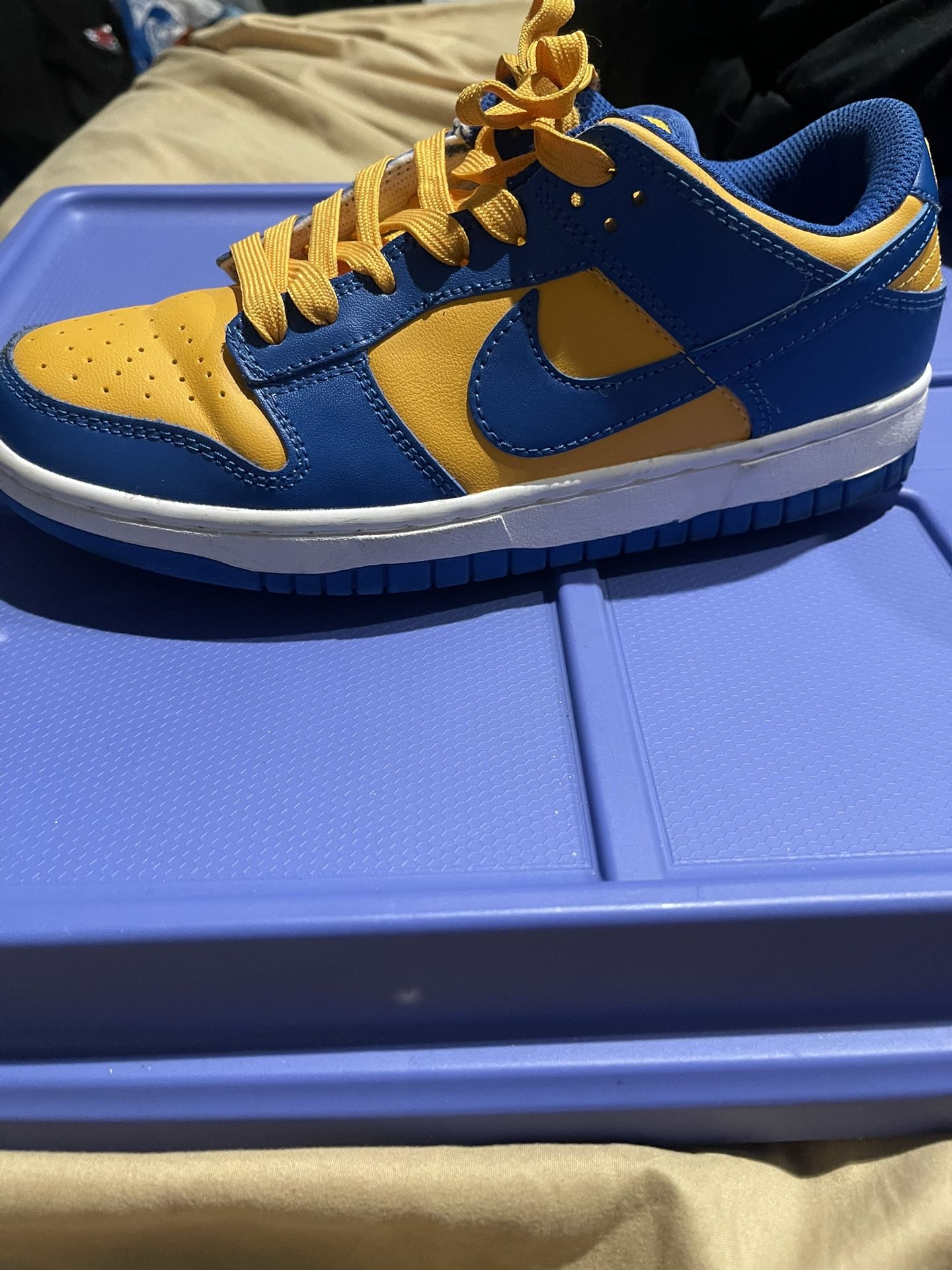 Nike Dunks (LIMITED EDITION) Worn Once And YEZZY 450 Brand New