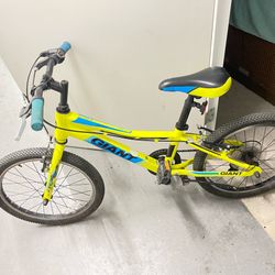 Giant Kids Mountain Bike 175 obo