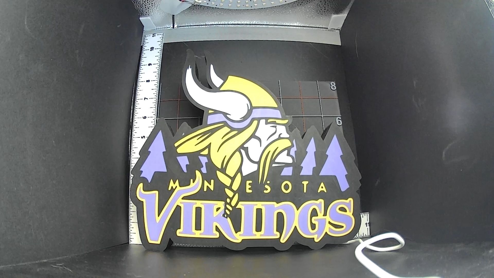 Minnesota Vikings Lightbox