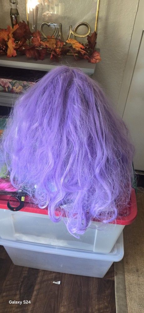 Purple Wig 