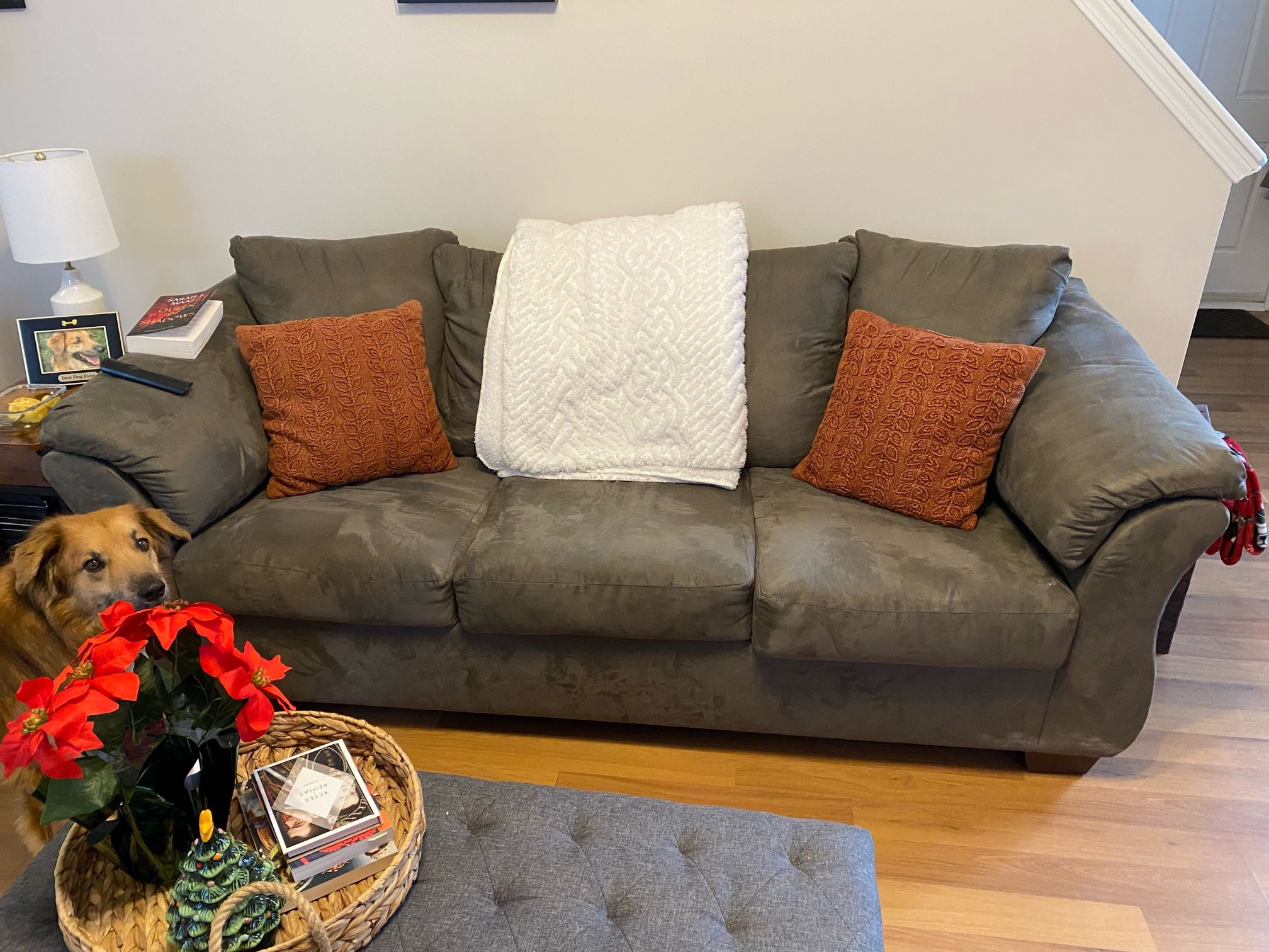 Grey Couch