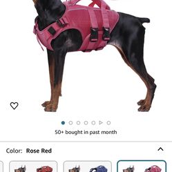 XXL Life Jacket 