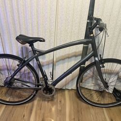 Specialized Globe Vienn Bike